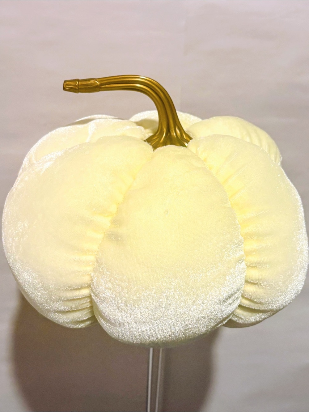Ivory Velvet Pumpkin with Gold Stem – Fall Home Decor